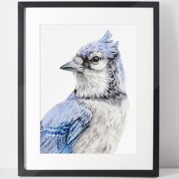 Blue Jay Bird Portrait Wall Art Watercolor Print Poster Unframed - Picture 2 of 9
